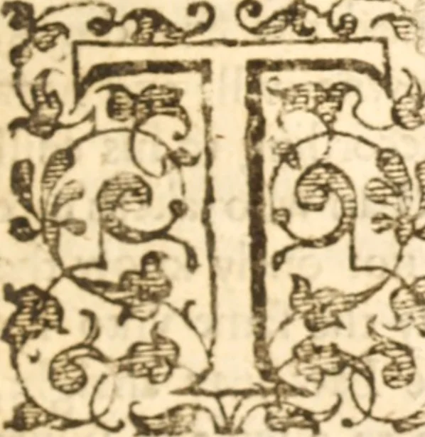 An illustration from Essex dove, presenting the world with a few of her olive branches : or, a taste of the workes of ... John Smith ... delivered in three severall treatises .., 1626, leaf 322