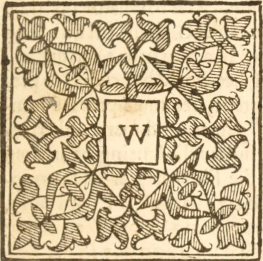 An illustration from Essex dove, presenting the world with a few of her olive branches : or, a taste of the workes of ... John Smith ... delivered in three severall treatises .., 1626, leaf 332