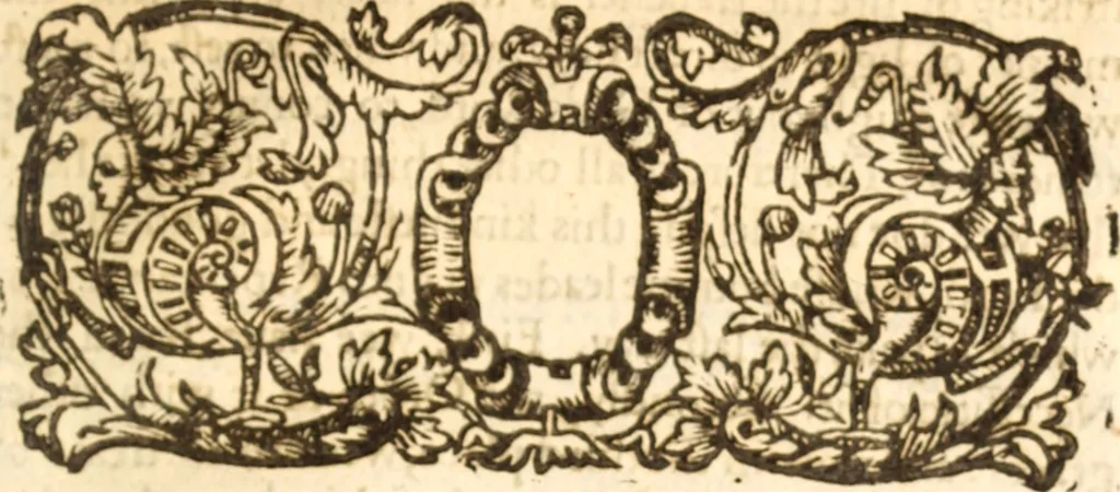 An illustration from Essex dove, presenting the world with a few of her olive branches : or, a taste of the workes of ... John Smith ... delivered in three severall treatises .., 1626, leaf 348
