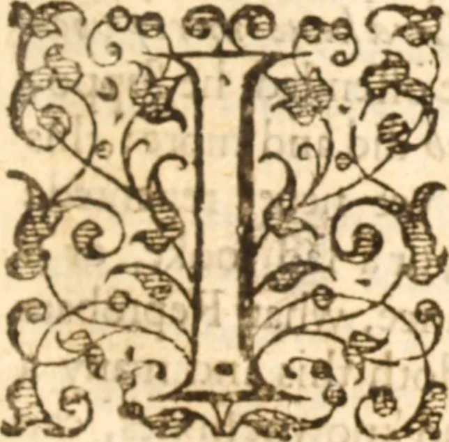 An illustration from Essex dove, presenting the world with a few of her olive branches : or, a taste of the workes of ... John Smith ... delivered in three severall treatises .., 1626, leaf 348