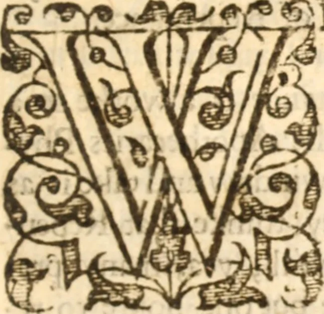 An illustration from Essex dove, presenting the world with a few of her olive branches : or, a taste of the workes of ... John Smith ... delivered in three severall treatises .., 1626, leaf 358