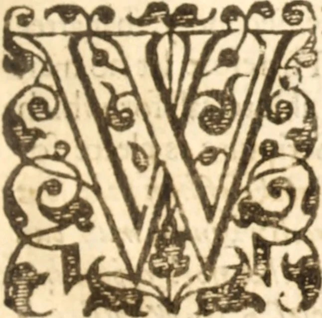 An illustration from Essex dove, presenting the world with a few of her olive branches : or, a taste of the workes of ... John Smith ... delivered in three severall treatises .., 1626, leaf 370