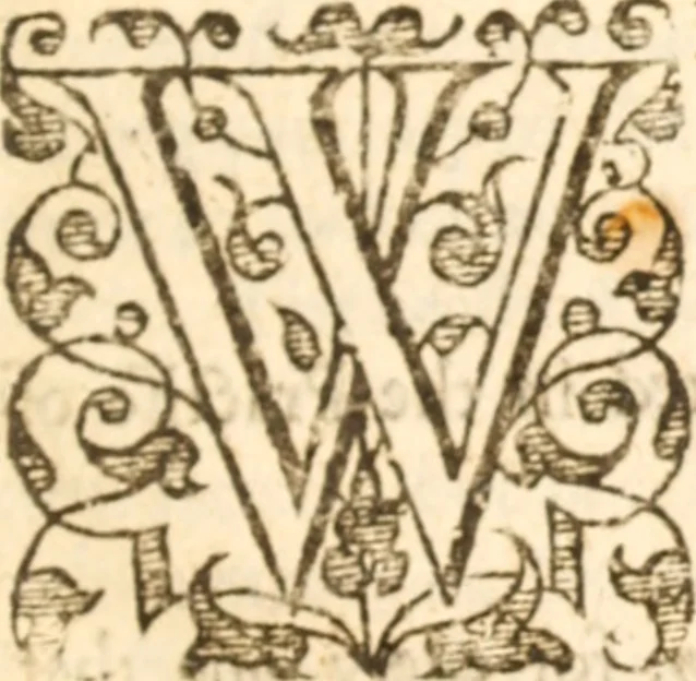 An illustration from Essex dove, presenting the world with a few of her olive branches : or, a taste of the workes of ... John Smith ... delivered in three severall treatises .., 1626, leaf 388