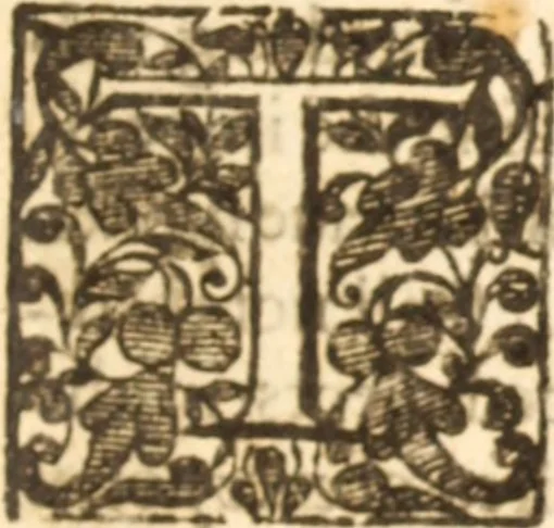 An illustration from Essex dove, presenting the world with a few of her olive branches : or, a taste of the workes of ... John Smith ... delivered in three severall treatises .., 1626, leaf 400