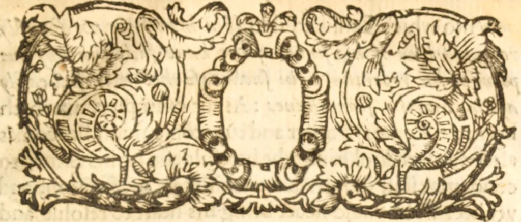An illustration from Essex dove, presenting the world with a few of her olive branches : or, a taste of the workes of ... John Smith ... delivered in three severall treatises .., 1626, leaf 410