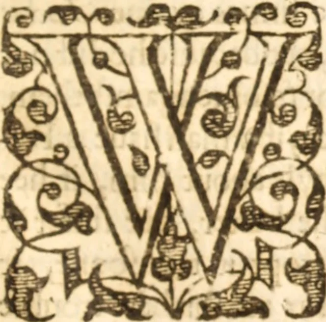 An illustration from Essex dove, presenting the world with a few of her olive branches : or, a taste of the workes of ... John Smith ... delivered in three severall treatises .., 1626, leaf 410