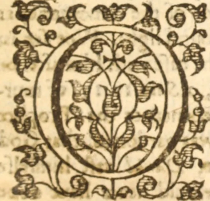 An illustration from Essex dove, presenting the world with a few of her olive branches : or, a taste of the workes of ... John Smith ... delivered in three severall treatises .., 1626, leaf 424