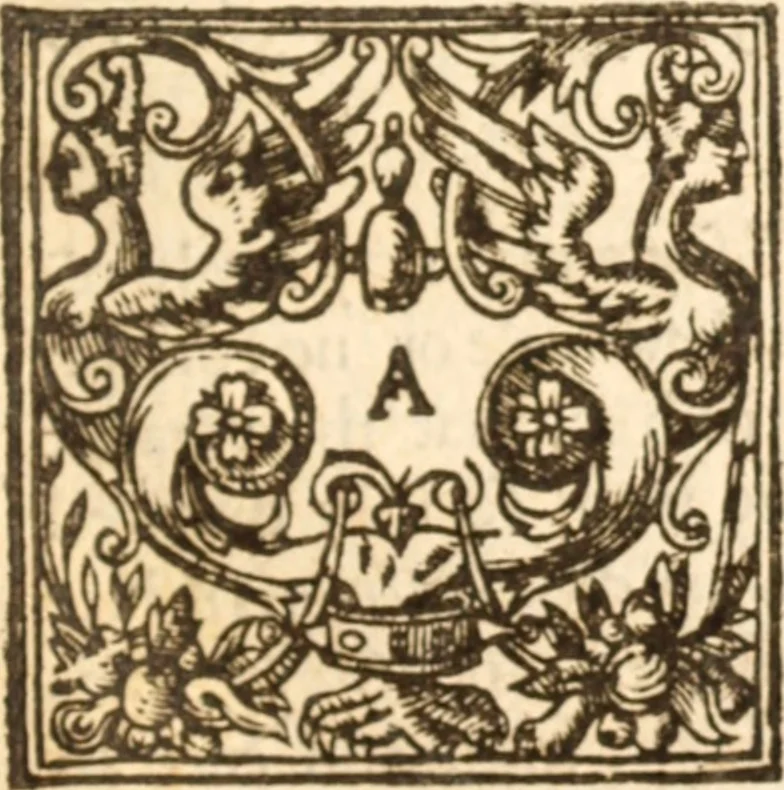 An illustration from Essex dove, presenting the world with a few of her olive branches : or, a taste of the workes of ... John Smith ... delivered in three severall treatises .., 1626, leaf 458