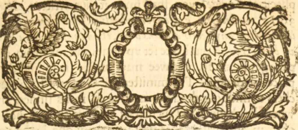 An illustration from Essex dove, presenting the world with a few of her olive branches : or, a taste of the workes of ... John Smith ... delivered in three severall treatises .., 1626, leaf 492