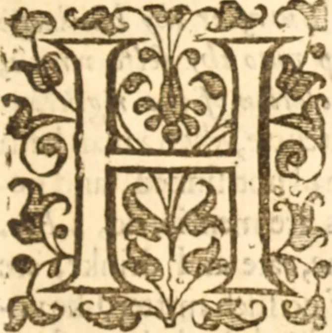 An illustration from Essex dove, presenting the world with a few of her olive branches : or, a taste of the workes of ... John Smith ... delivered in three severall treatises .., 1626, leaf 492