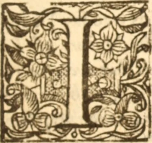 An illustration from Essex dove, presenting the world with a few of her olive branches : or, a taste of the workes of ... John Smith ... delivered in three severall treatises .., 1626, leaf 504