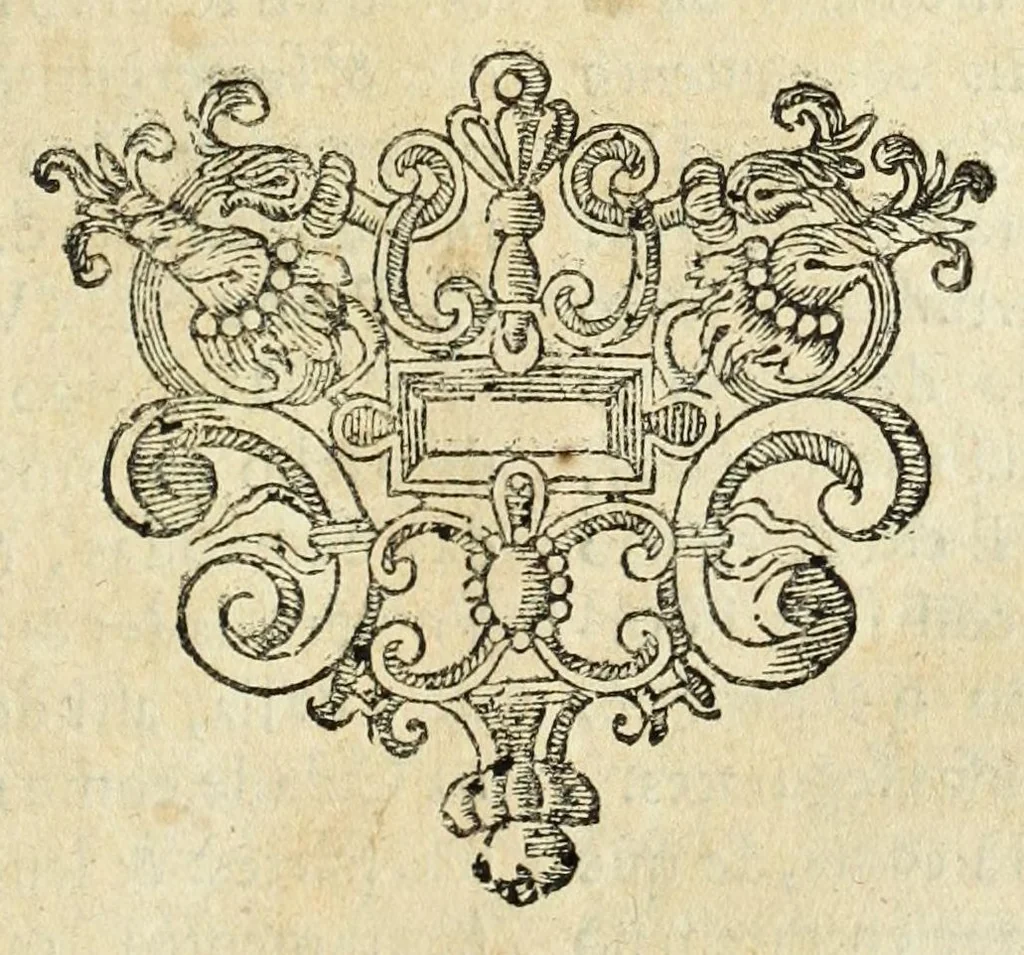 An illustration from Estatutos da Vniversidade de Coimbra : confirmados por el Rey nosso Snor. Dom Ioaõ o 4. em o anno de 1653, 1654, leaf 305