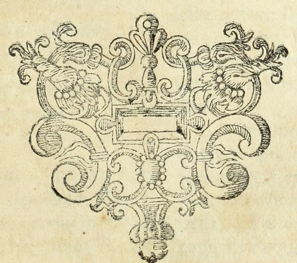 An illustration from Estatutos da Vniversidade de Coimbra : confirmados por el Rey nosso Snor. Dom Ioaõ o 4. em o anno de 1653, 1654, leaf 343