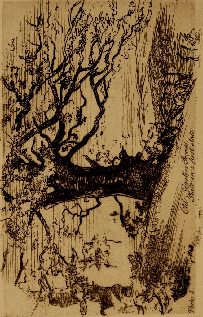 An illustration from The etcher's handbook : giving an account ot the old processes, and of processes recently discovered ; illustrated by the author, 1912, leaf 107