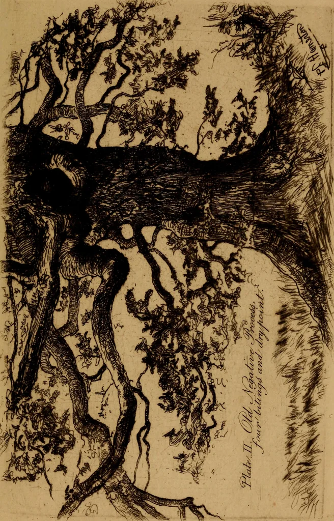 An illustration from The etcher's handbook : giving an account ot the old processes, and of processes recently discovered ; illustrated by the author, 1912, leaf 110