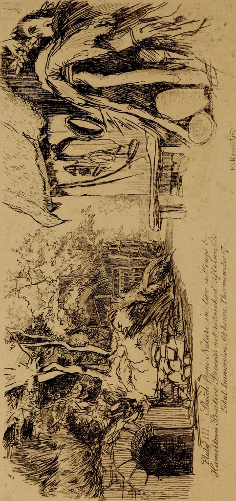 An illustration from The etcher's handbook : giving an account ot the old processes, and of processes recently discovered ; illustrated by the author, 1912, leaf 119