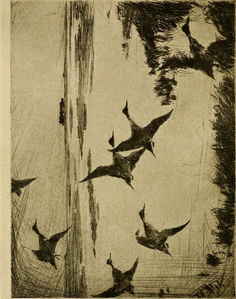 An illustration from Etching and other graphic arts : an illustrated treatise, 1922, leaf 113