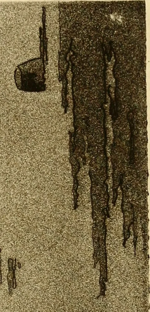 An illustration from Etching and other graphic arts : an illustrated treatise, 1922, leaf 120