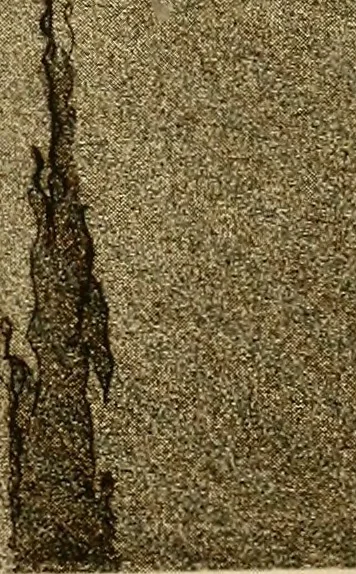 An illustration from Etching and other graphic arts : an illustrated treatise, 1922, leaf 120