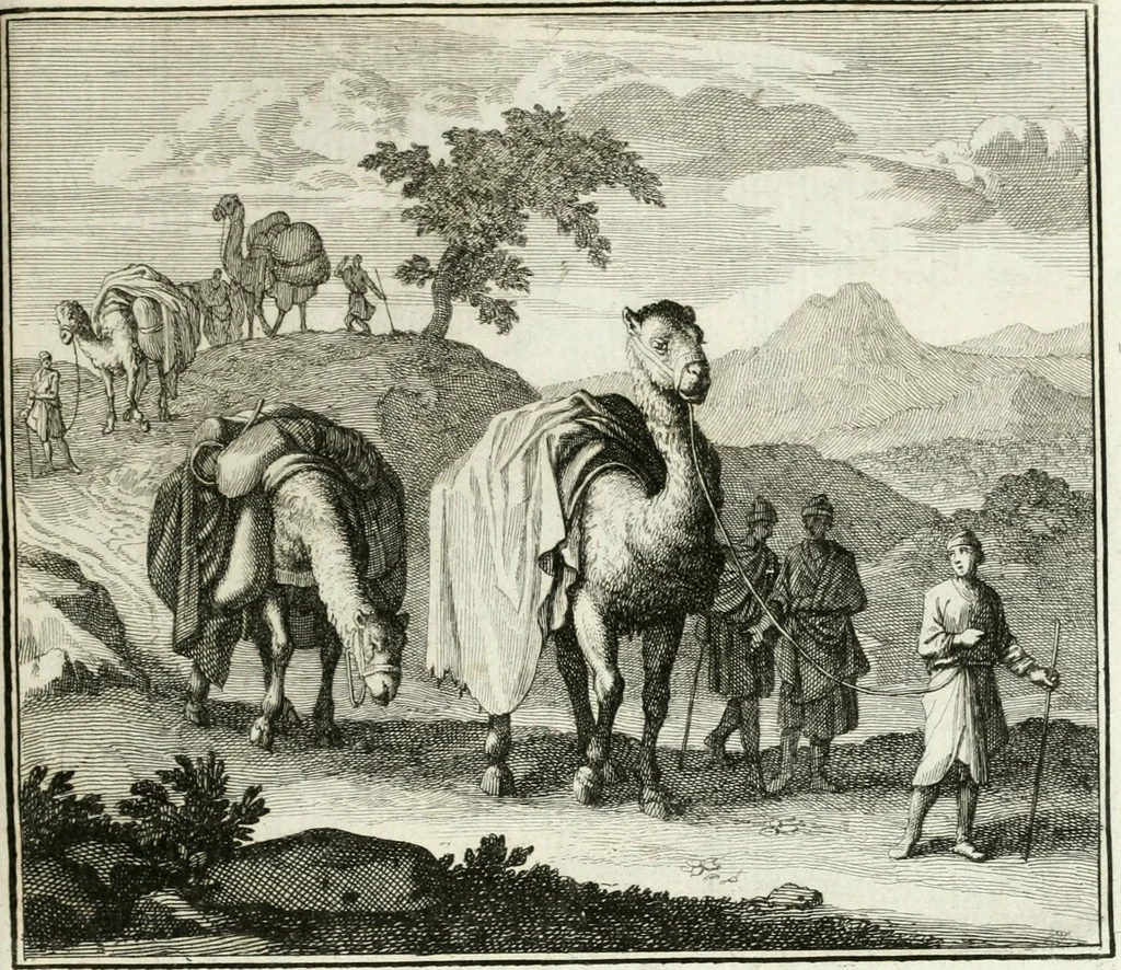 An illustration from Ethica naturalis, seu, Documenta moralia e variis rerum naturalium proprietatib[us], virtutum vitiorumq[ue] symbolicis imaginibus collecta, 1700, leaf 136