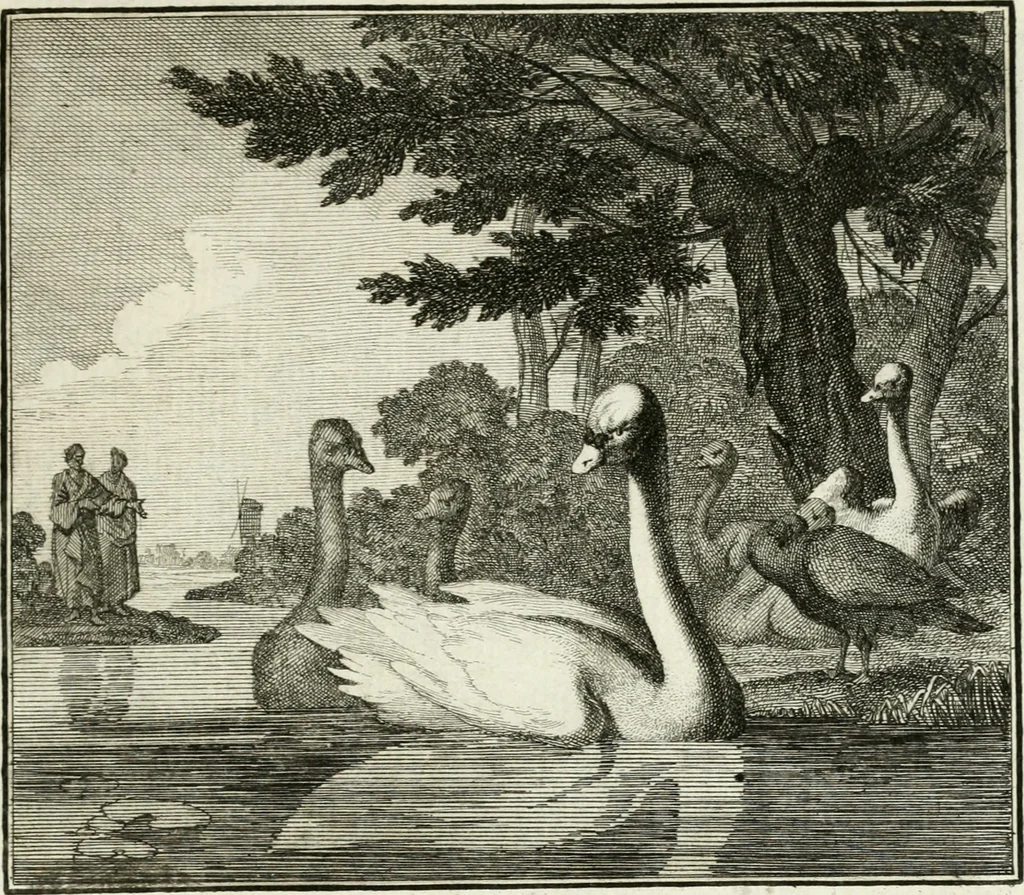 An illustration from Ethica naturalis, seu, Documenta moralia e variis rerum naturalium proprietatib[us], virtutum vitiorumq[ue] symbolicis imaginibus collecta, 1700, leaf 152