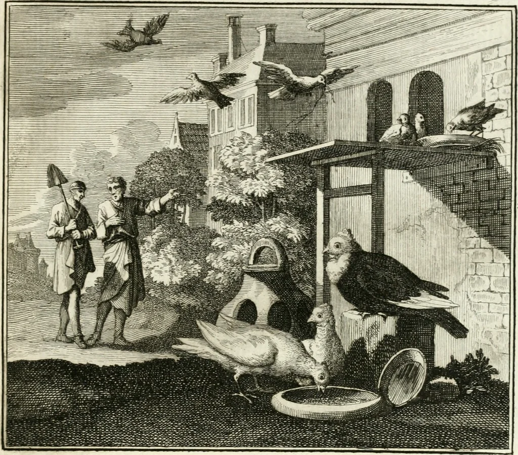 An illustration from Ethica naturalis, seu, Documenta moralia e variis rerum naturalium proprietatib[us], virtutum vitiorumq[ue] symbolicis imaginibus collecta, 1700, leaf 162
