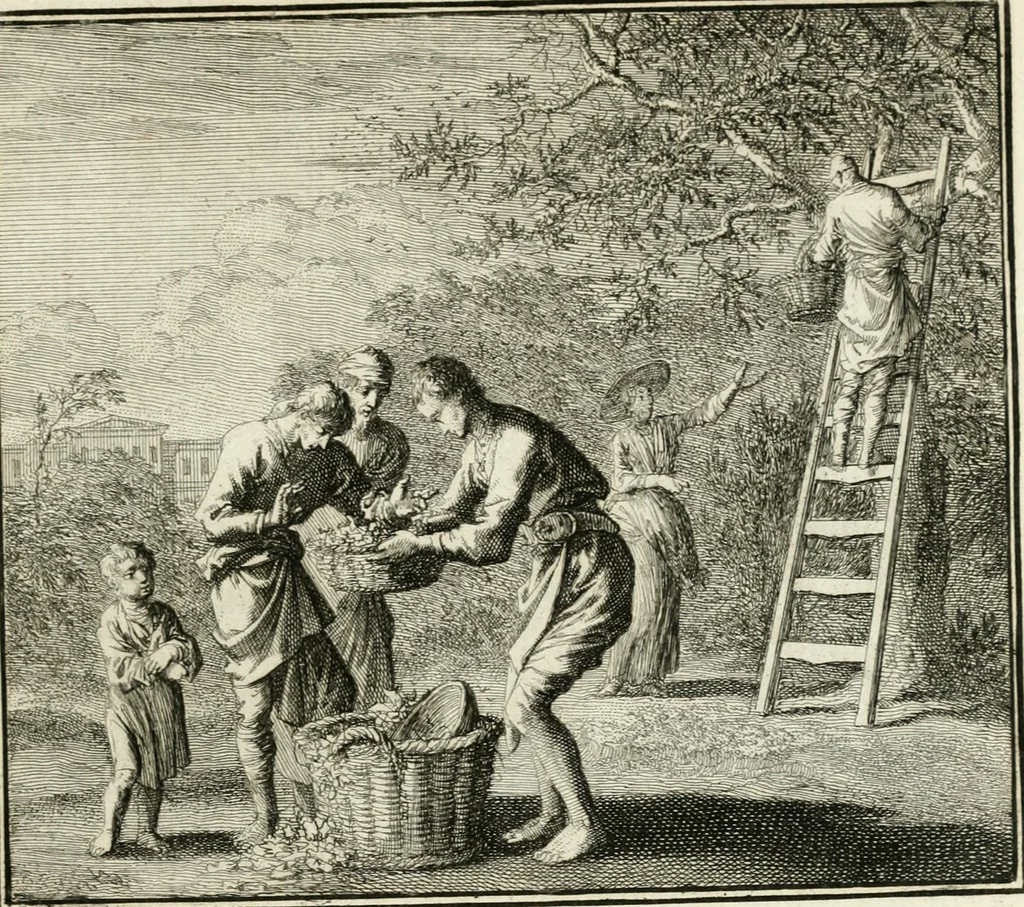 An illustration from Ethica naturalis, seu, Documenta moralia e variis rerum naturalium proprietatib[us], virtutum vitiorumq[ue] symbolicis imaginibus collecta, 1700, leaf 198