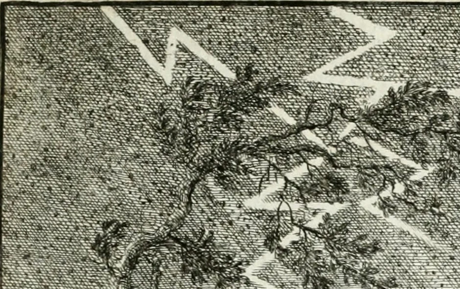 An illustration from Ethica naturalis, seu, Documenta moralia e variis rerum naturalium proprietatib[us], virtutum vitiorumq[ue] symbolicis imaginibus collecta, 1700, leaf 26