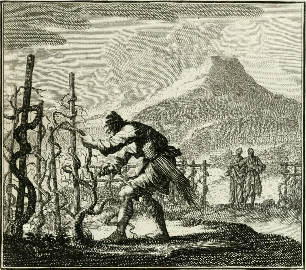 An illustration from Ethica naturalis, seu, Documenta moralia e variis rerum naturalium proprietatib[us], virtutum vitiorumq[ue] symbolicis imaginibus collecta, 1700, leaf 56