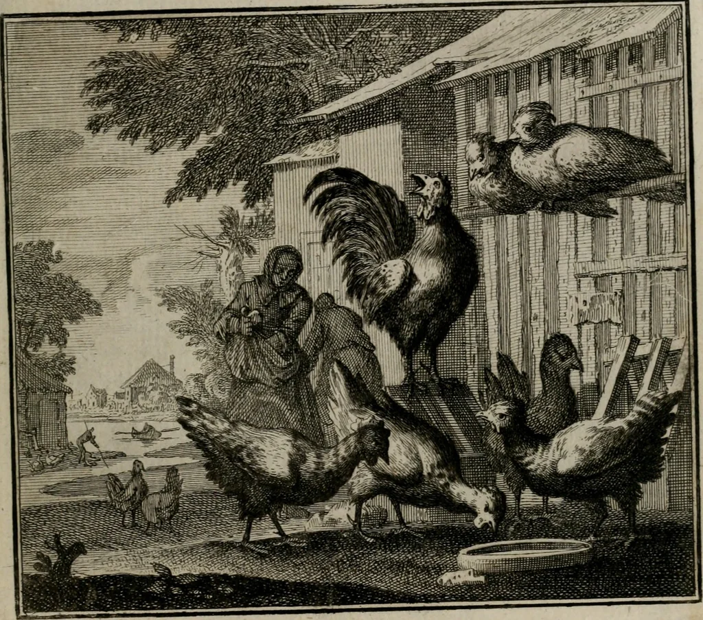 An illustration from Ethica naturalis seu Documenta moralia : e variis rerum naturalium proprietatib(us) virtutum vitiorumq(ue) symbolicis imaginibus collecta., 1700, leaf 154