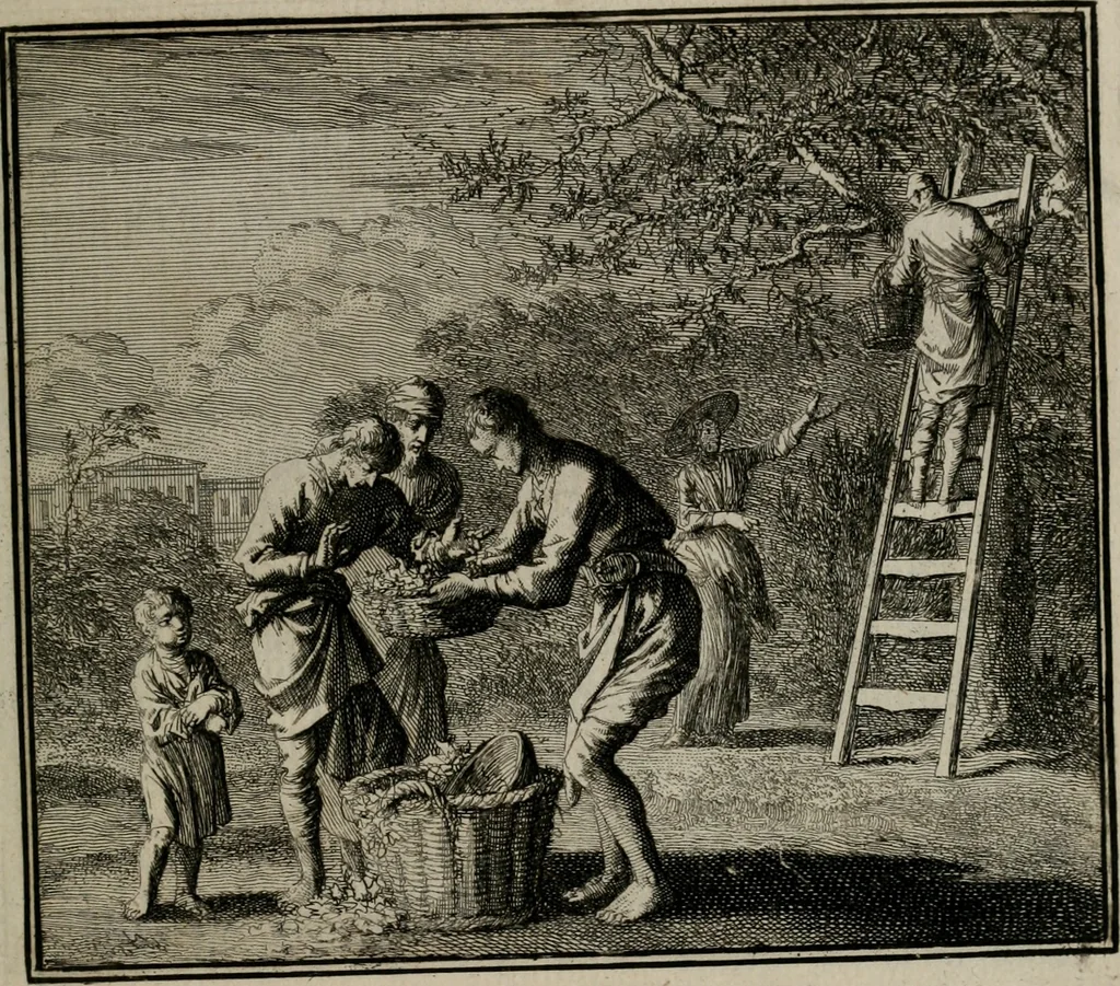 An illustration from Ethica naturalis seu Documenta moralia : e variis rerum naturalium proprietatib(us) virtutum vitiorumq(ue) symbolicis imaginibus collecta., 1700, leaf 194