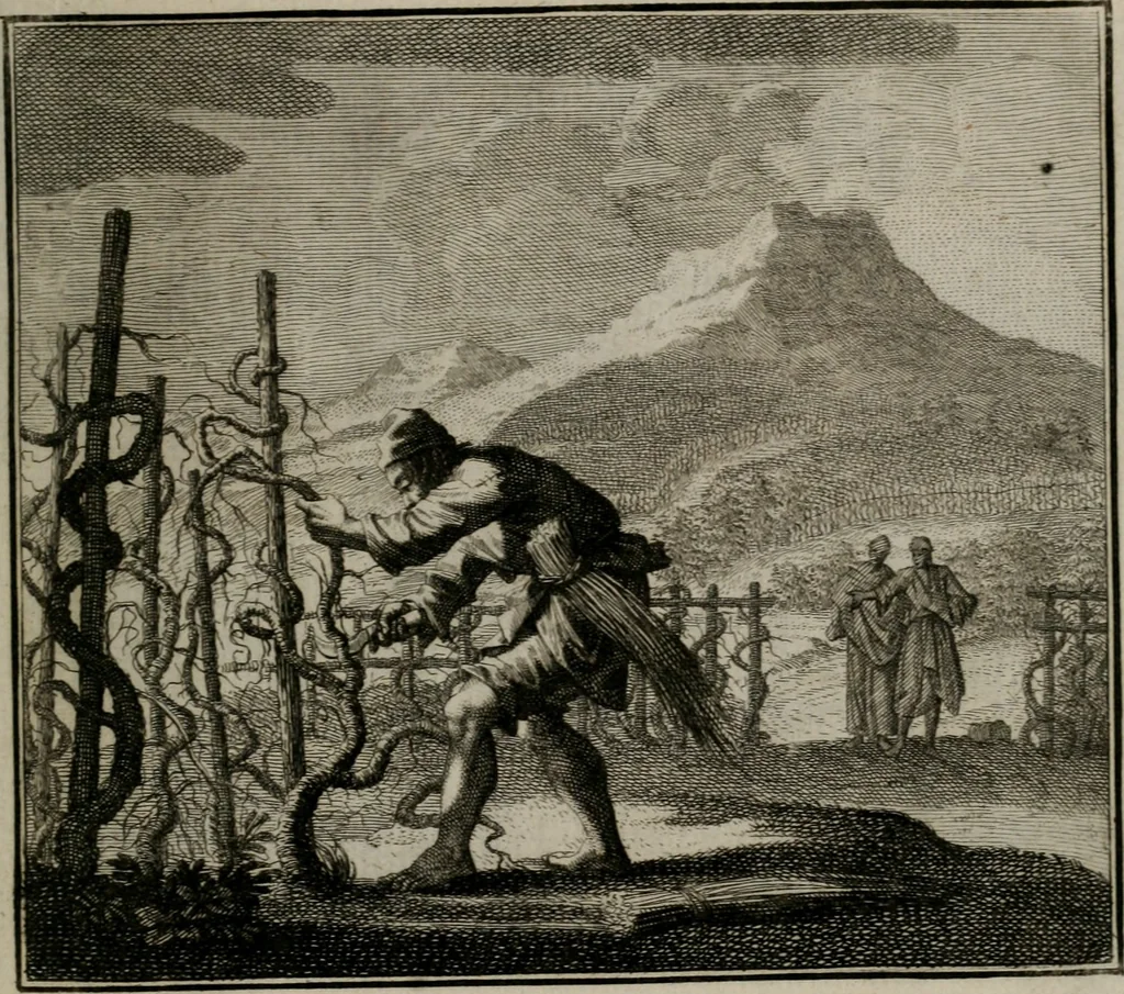 An illustration from Ethica naturalis seu Documenta moralia : e variis rerum naturalium proprietatib(us) virtutum vitiorumq(ue) symbolicis imaginibus collecta., 1700, leaf 52
