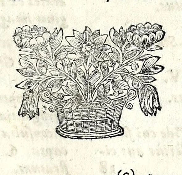 An illustration from Ethica symbolica e fabularum umbris in veritatis lucem varia eruditione, noviter evoluta, 1675, leaf 27