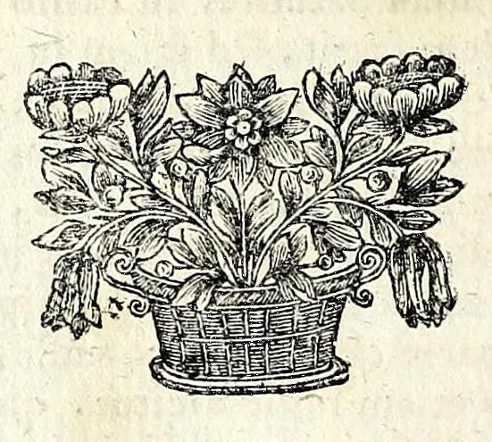 An illustration from Ethica symbolica e fabularum umbris in veritatis lucem varia eruditione, noviter evoluta, 1675, leaf 608