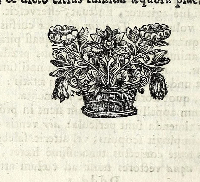An illustration from Ethica symbolica e fabularum umbris in veritatis lucem varia eruditione, noviter evoluta, 1675, leaf 624