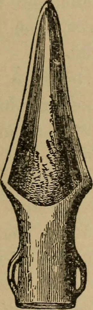 An illustration from Ethics of boxing and manly sport, 1888, leaf 211