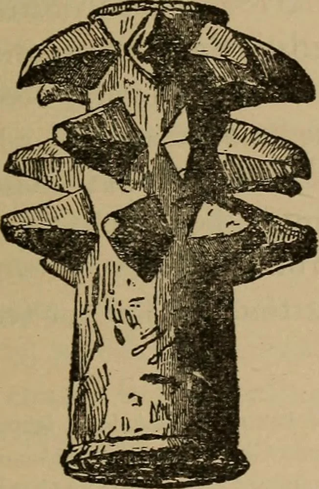An illustration from Ethics of boxing and manly sport, 1888, leaf 215