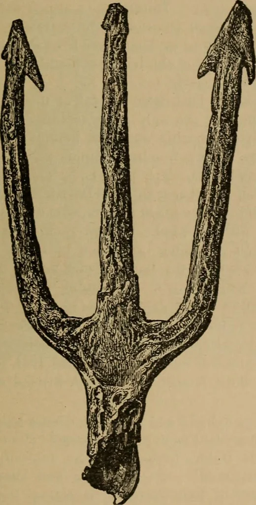 An illustration from Ethics of boxing and manly sport, 1888, leaf 223