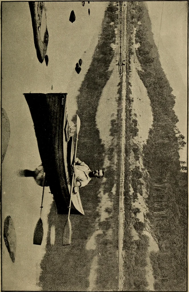 An illustration from Ethics of boxing and manly sport, 1888, leaf 319