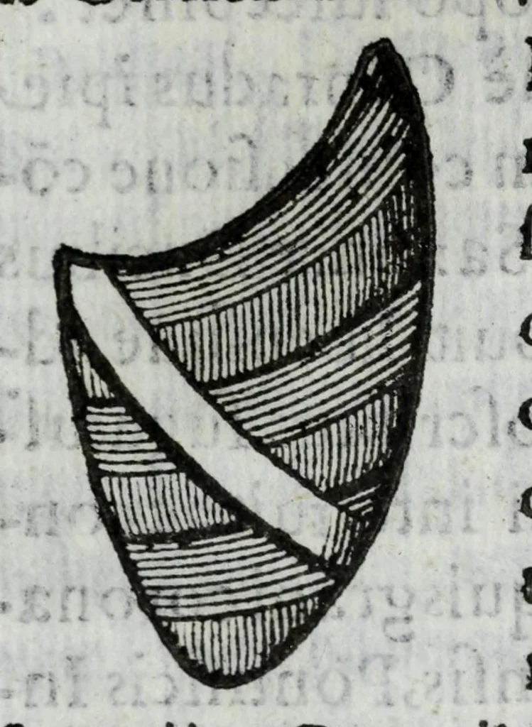 An illustration from Ethicus stylobates colossi sancti cardinalis Caroli magnalium patratoris, siue, Illustriss.mae Borromaeorum familiae elogium, 1618, leaf 339