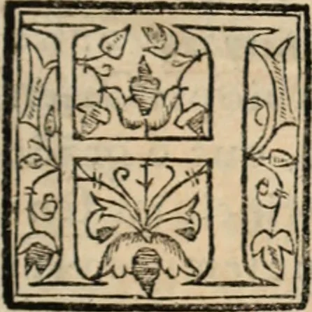 An illustration from Ethiopia oriental, e varia historia de cousas, notaveis do oriente, 1609, leaf 10
