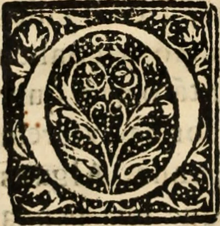 An illustration from Ethiopia oriental, e varia historia de cousas, notaveis do oriente, 1609, leaf 101