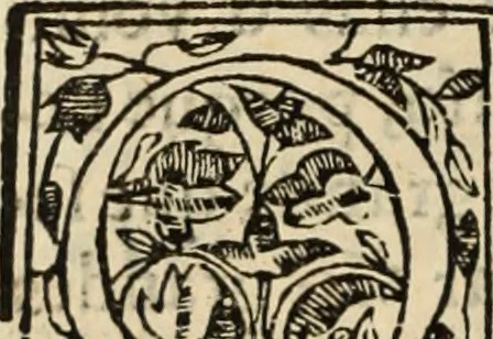 An illustration from Ethiopia oriental, e varia historia de cousas, notaveis do oriente, 1609, leaf 111