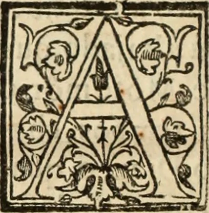 An illustration from Ethiopia oriental, e varia historia de cousas, notaveis do oriente, 1609, leaf 113