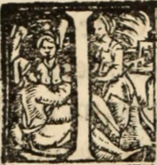 An illustration from Ethiopia oriental, e varia historia de cousas, notaveis do oriente, 1609, leaf 127