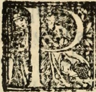 An illustration from Ethiopia oriental, e varia historia de cousas, notaveis do oriente, 1609, leaf 137