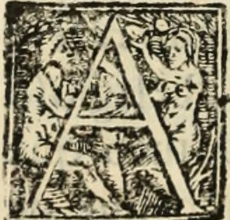 An illustration from Ethiopia oriental, e varia historia de cousas, notaveis do oriente, 1609, leaf 153