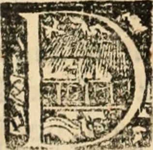 An illustration from Ethiopia oriental, e varia historia de cousas, notaveis do oriente, 1609, leaf 159