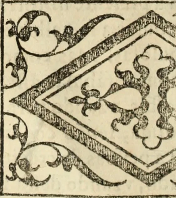 An illustration from Ethiopia oriental, e varia historia de cousas, notaveis do oriente, 1609, leaf 17