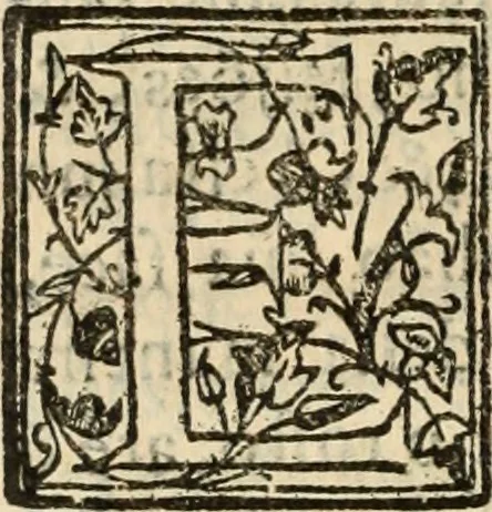 An illustration from Ethiopia oriental, e varia historia de cousas, notaveis do oriente, 1609, leaf 173